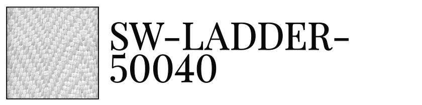 SW-LADDER-50040