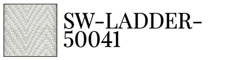 SW-LADDER-50041