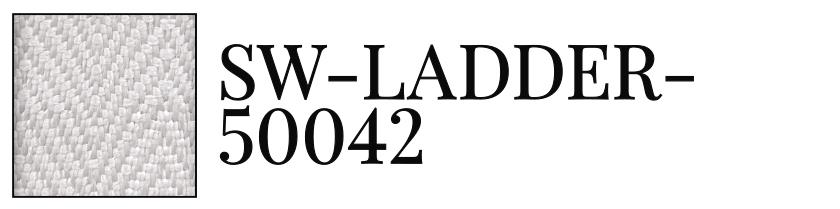 SW-LADDER-50042