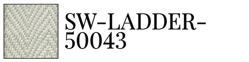 SW-LADDER-50043