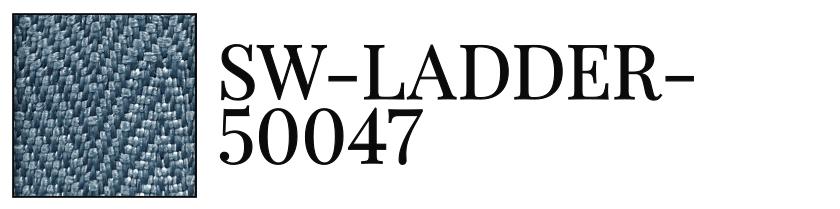 SW-LADDER-50047