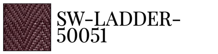 SW-LADDER-50051