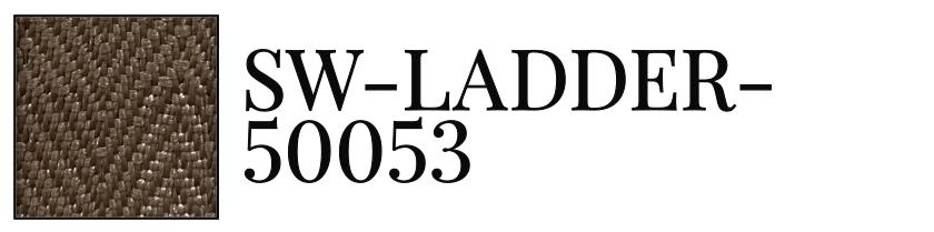 SW-LADDER-50053