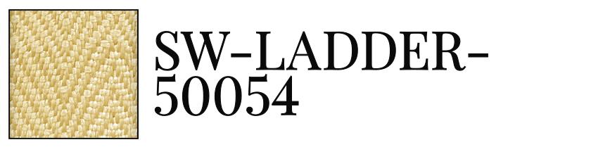 SW-LADDER-50054