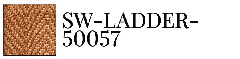 SW-LADDER-50057