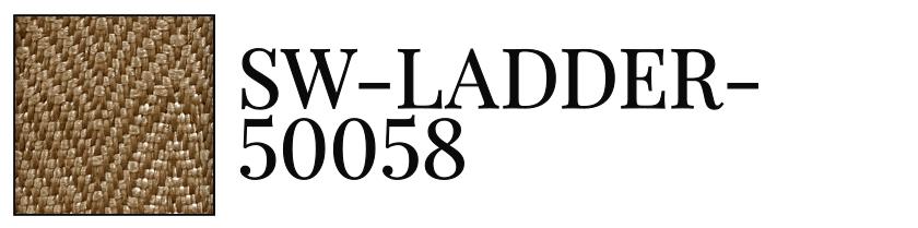 SW-LADDER-50058